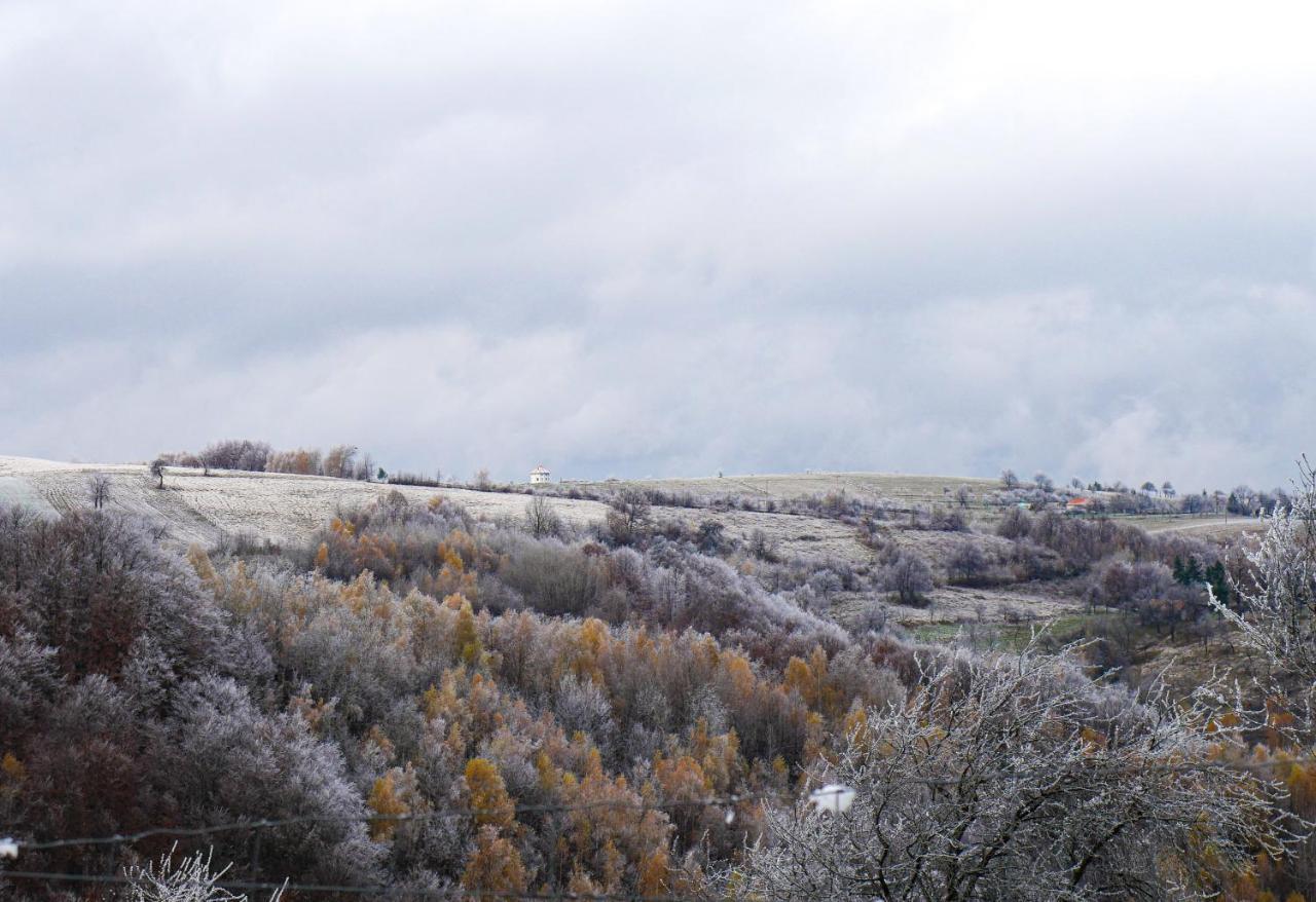 Rose Hip Hill Farm Bed & Breakfast Valea Tirnei Екстериор снимка